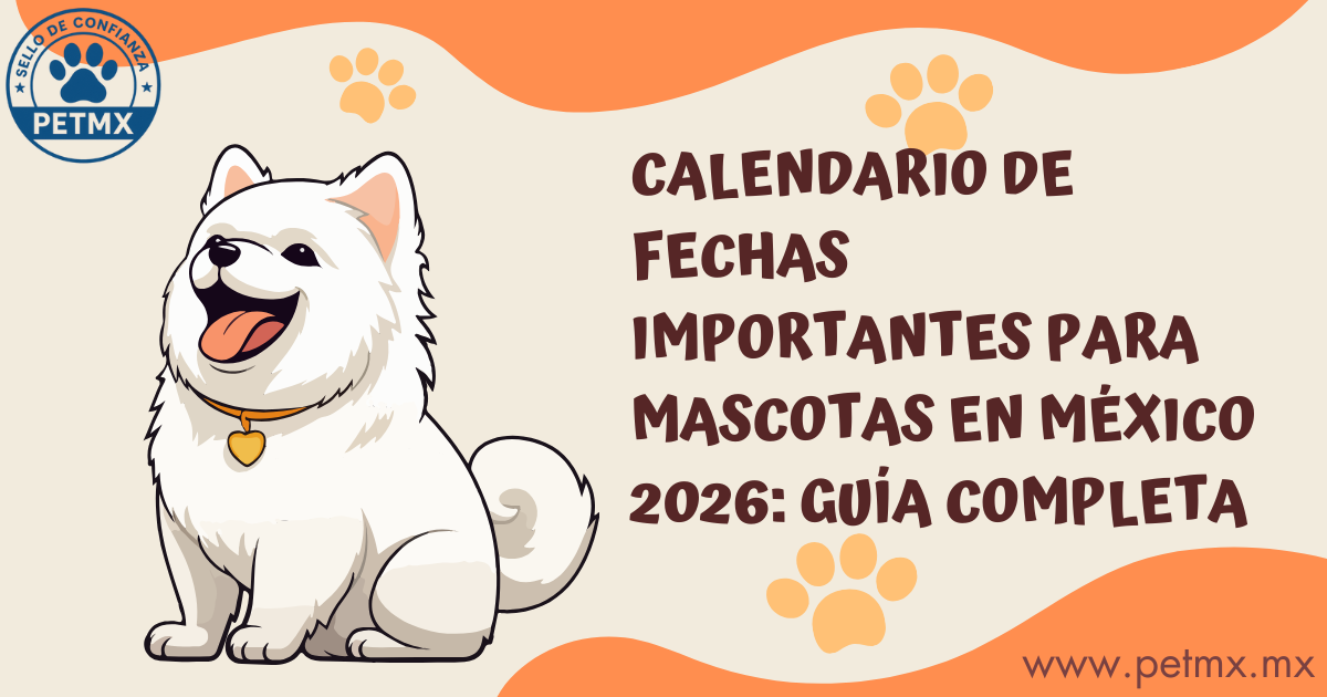Calendario fechas importantes