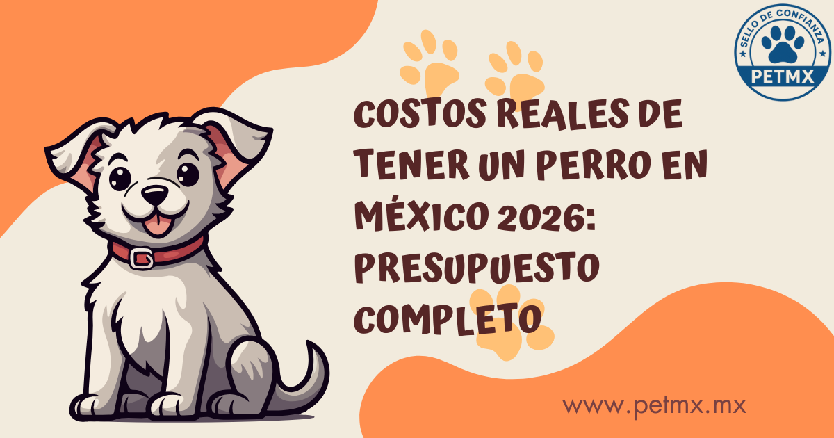 costos_reales_perros