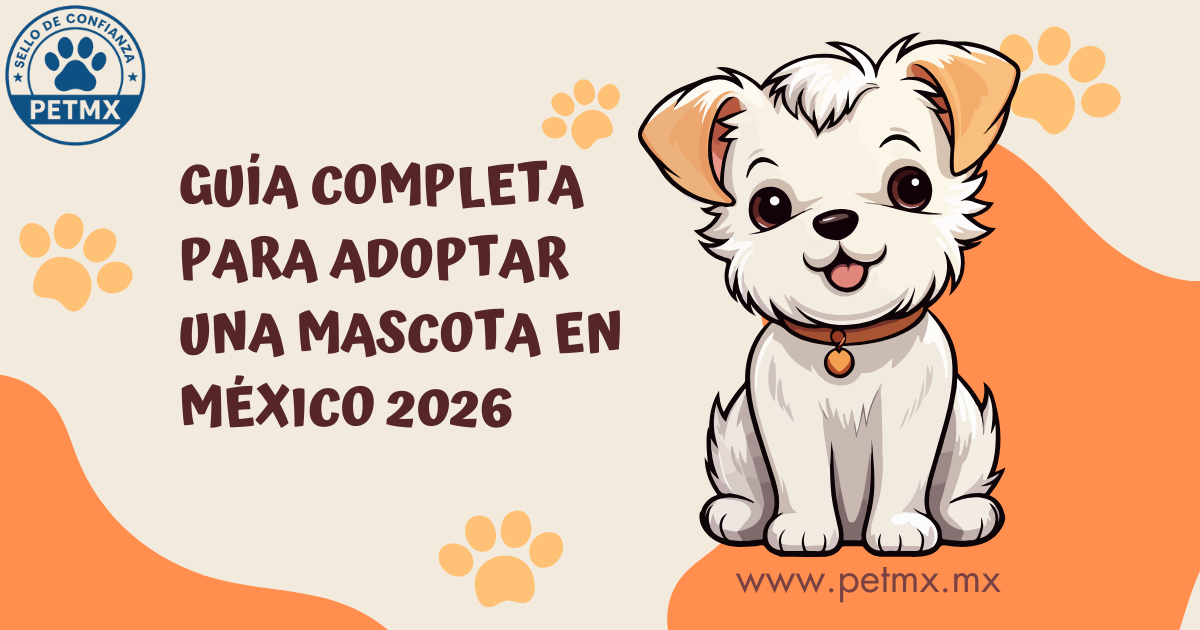 guia_completa_adopcion