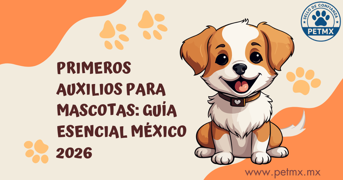 primeros_auxulios_mascotas